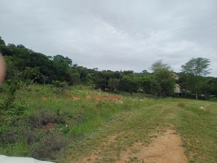 0 Bedroom Property for Sale in Uitsig Landgoed Estate Mpumalanga