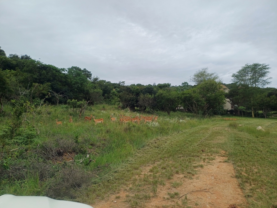 0 Bedroom Property for Sale in Uitsig Landgoed Estate Mpumalanga