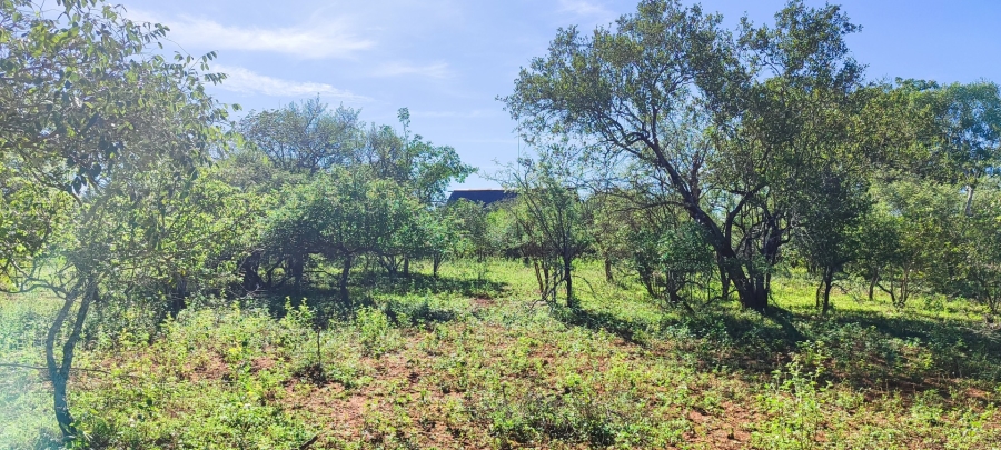 0 Bedroom Property for Sale in Marloth Park Mpumalanga