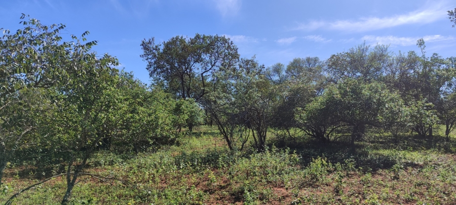 0 Bedroom Property for Sale in Marloth Park Mpumalanga