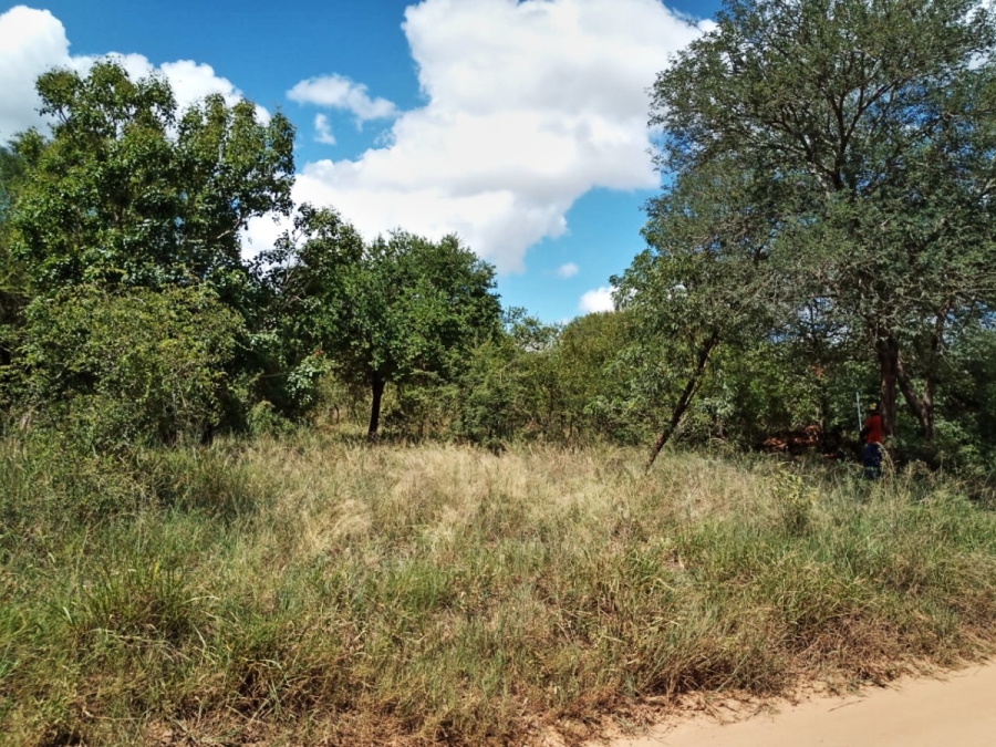 0 Bedroom Property for Sale in Mjejane Game Reserve Mpumalanga