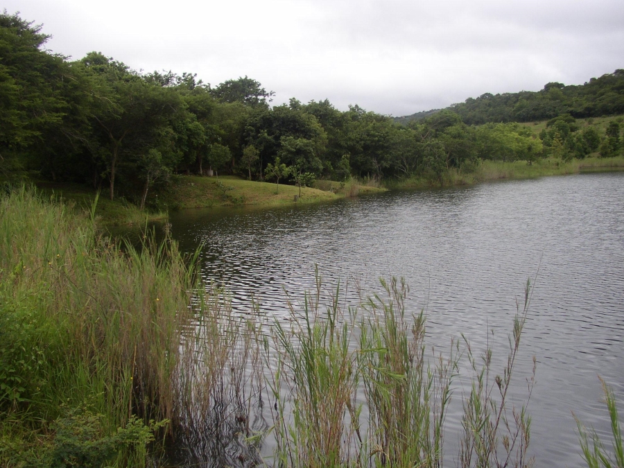 Commercial Property for Sale in Nelspruit Rural Mpumalanga