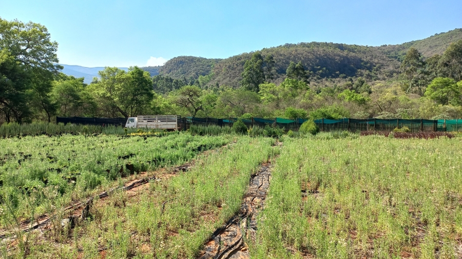 Commercial Property for Sale in Nelspruit Rural Mpumalanga