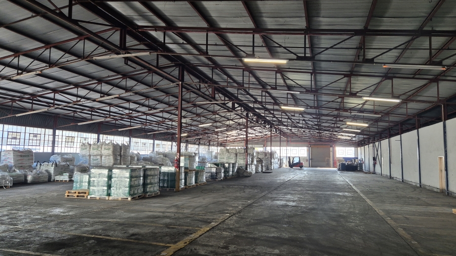 To Let commercial Property for Rent in Rocky Drift Mpumalanga