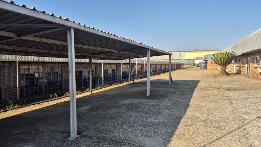 To Let commercial Property for Rent in Rocky Drift Mpumalanga