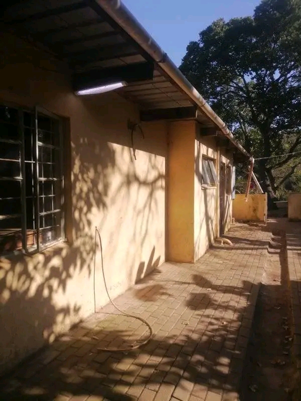 To Let 3 Bedroom Property for Rent in White River Mpumalanga