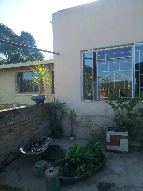 To Let 3 Bedroom Property for Rent in White River Mpumalanga