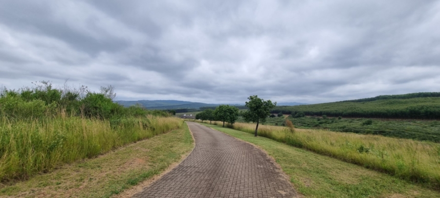 0 Bedroom Property for Sale in White River Estates Mpumalanga