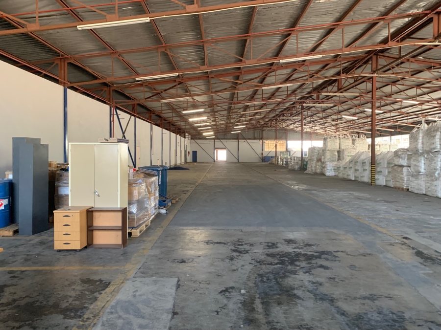 To Let commercial Property for Rent in Rocky Drift Mpumalanga