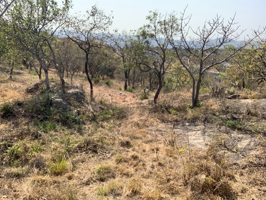 0 Bedroom Property for Sale in Drum Rock Mpumalanga