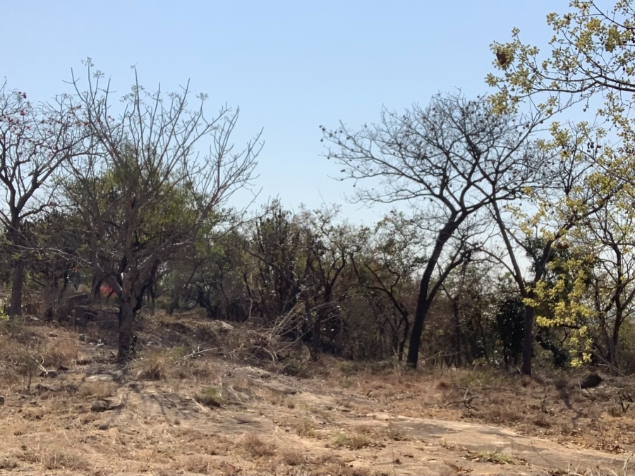 0 Bedroom Property for Sale in Drum Rock Mpumalanga