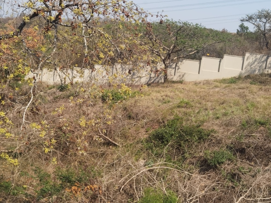 0 Bedroom Property for Sale in Drum Rock Mpumalanga