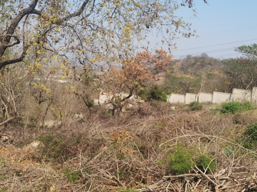 0 Bedroom Property for Sale in Drum Rock Mpumalanga