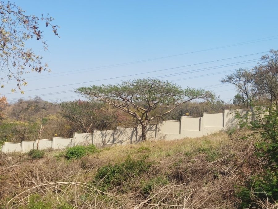 0 Bedroom Property for Sale in Drum Rock Mpumalanga