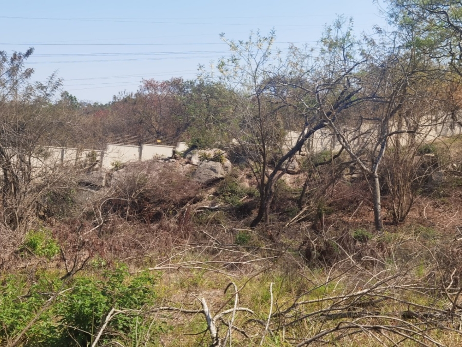 0 Bedroom Property for Sale in Drum Rock Mpumalanga