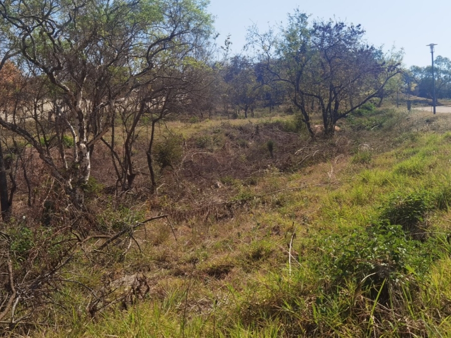 0 Bedroom Property for Sale in Drum Rock Mpumalanga