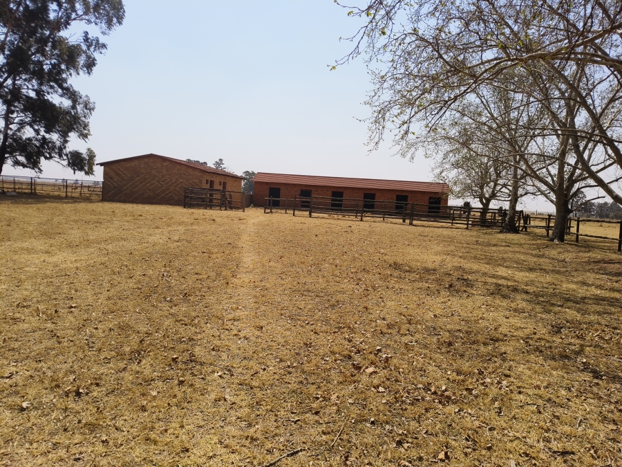 3 Bedroom Property for Sale in Delmas Mpumalanga