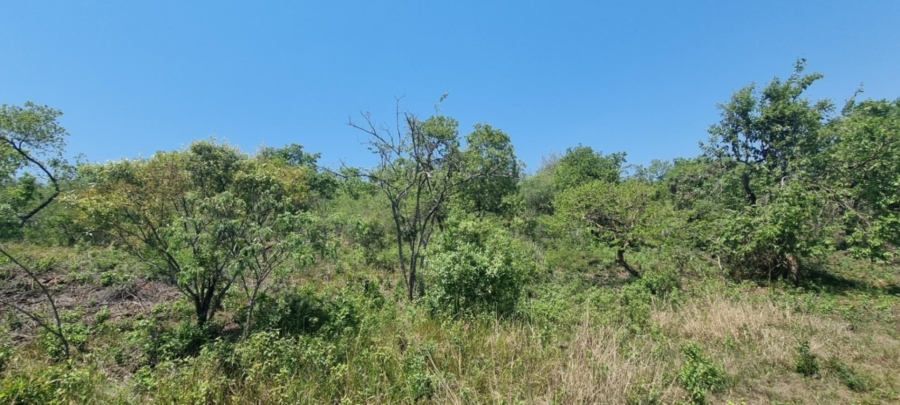 0 Bedroom Property for Sale in Hazyview Mpumalanga