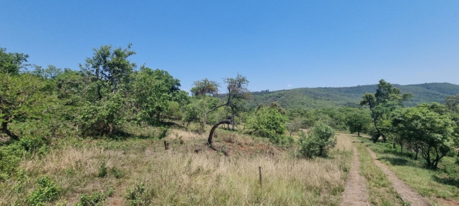 0 Bedroom Property for Sale in Hazyview Mpumalanga