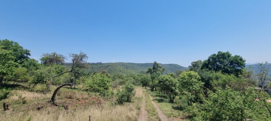 0 Bedroom Property for Sale in Hazyview Mpumalanga