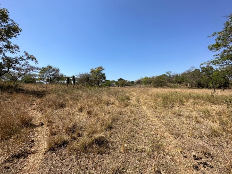 Commercial Property for Sale in Barberton Rural Mpumalanga