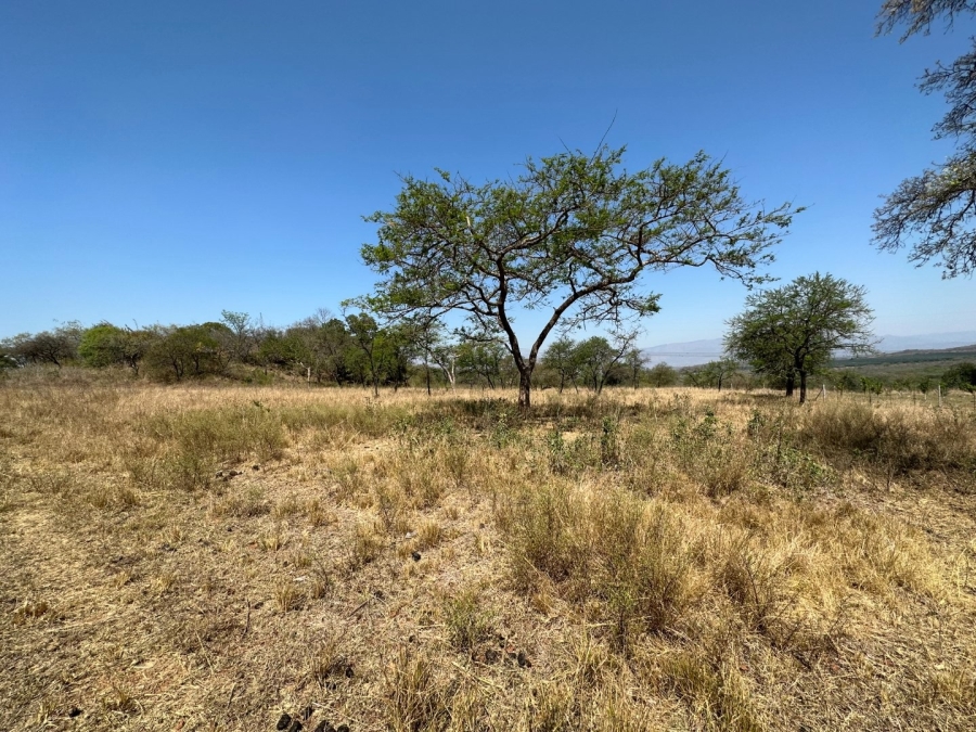 Commercial Property for Sale in Barberton Rural Mpumalanga