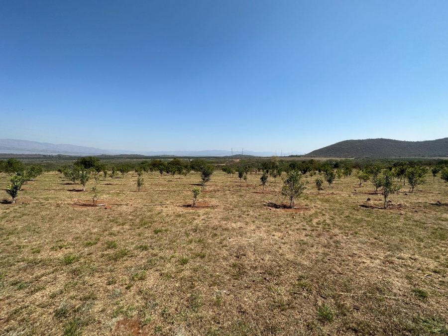 Commercial Property for Sale in Barberton Rural Mpumalanga