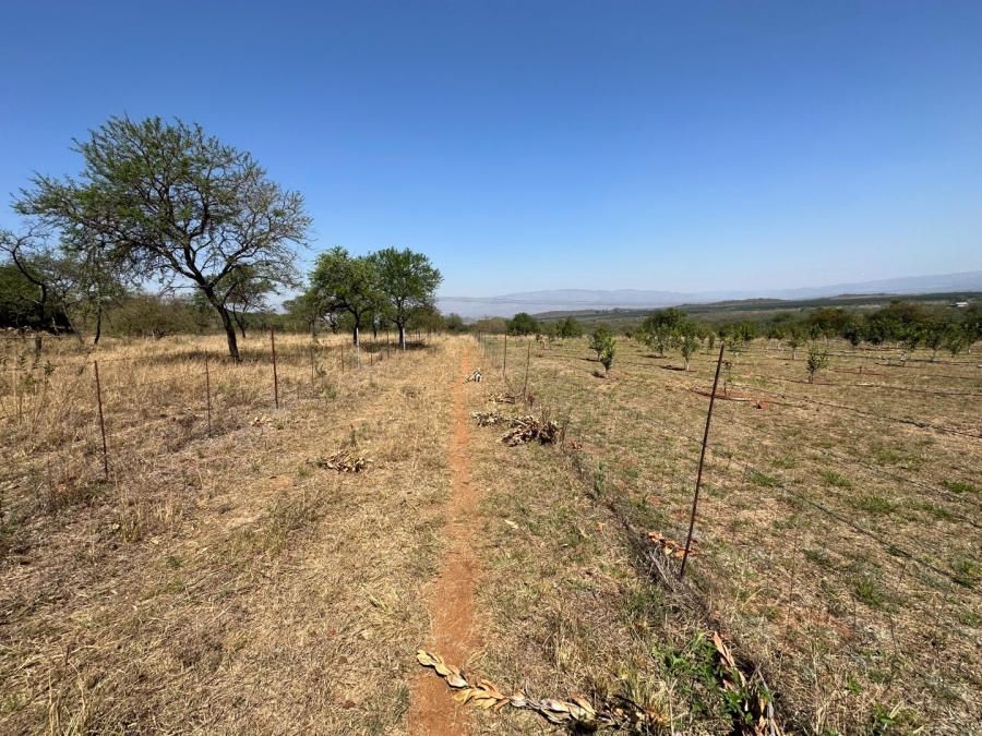 Commercial Property for Sale in Barberton Rural Mpumalanga