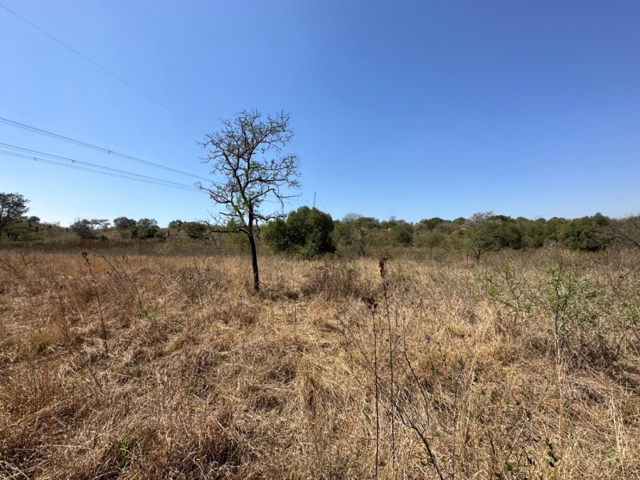 Commercial Property for Sale in Barberton Rural Mpumalanga