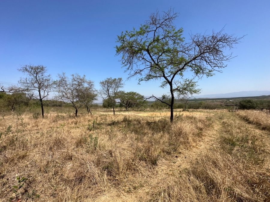 Commercial Property for Sale in Barberton Rural Mpumalanga