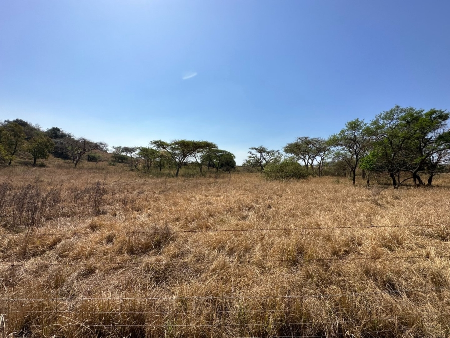 Commercial Property for Sale in Barberton Rural Mpumalanga