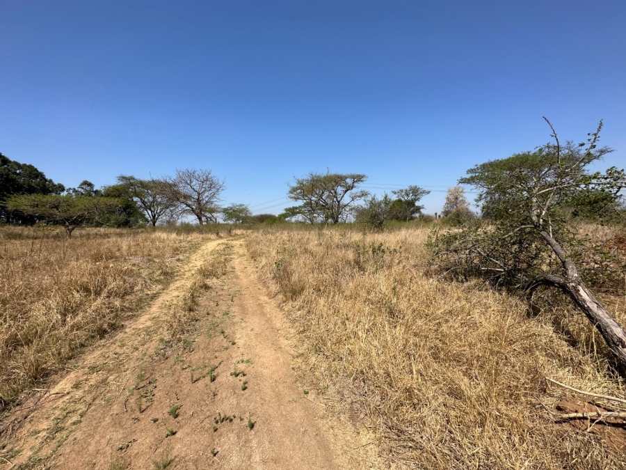 Commercial Property for Sale in Barberton Rural Mpumalanga