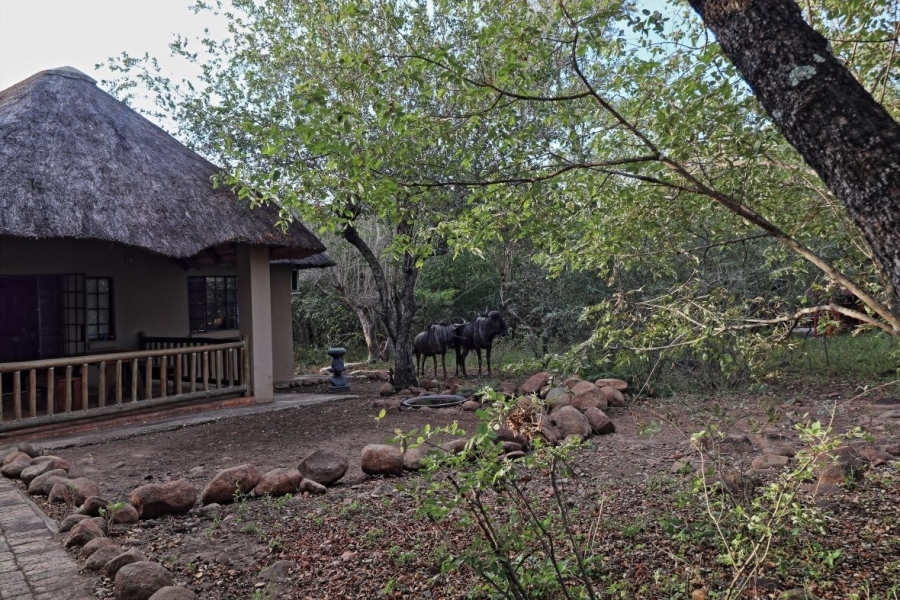 2 Bedroom Property for Sale in Marloth Park Mpumalanga