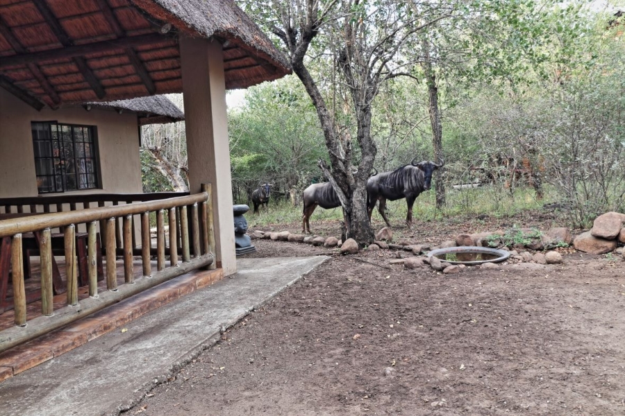 2 Bedroom Property for Sale in Marloth Park Mpumalanga