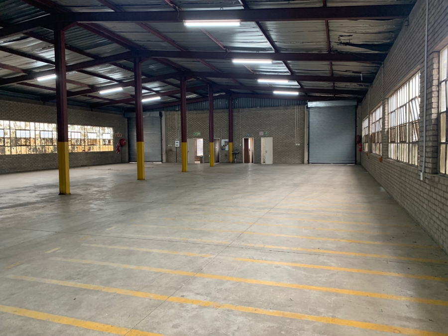 To Let commercial Property for Rent in Rocky Drift Mpumalanga