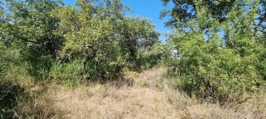 0 Bedroom Property for Sale in Nelspruit Rural Mpumalanga