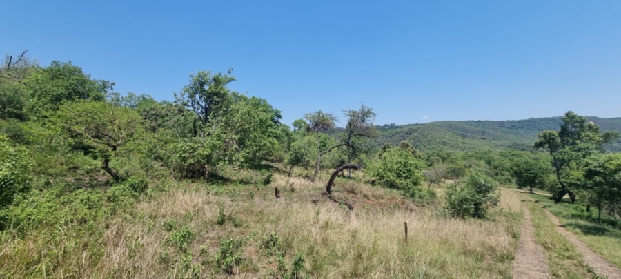 0 Bedroom Property for Sale in Hazyview Mpumalanga