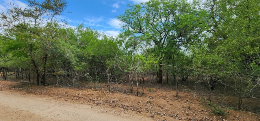 0 Bedroom Property for Sale in Marloth Park Mpumalanga