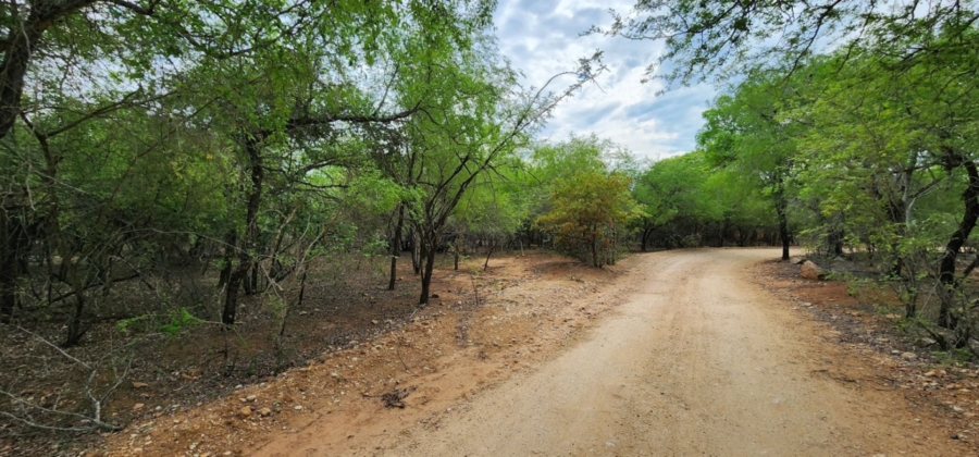 0 Bedroom Property for Sale in Marloth Park Mpumalanga