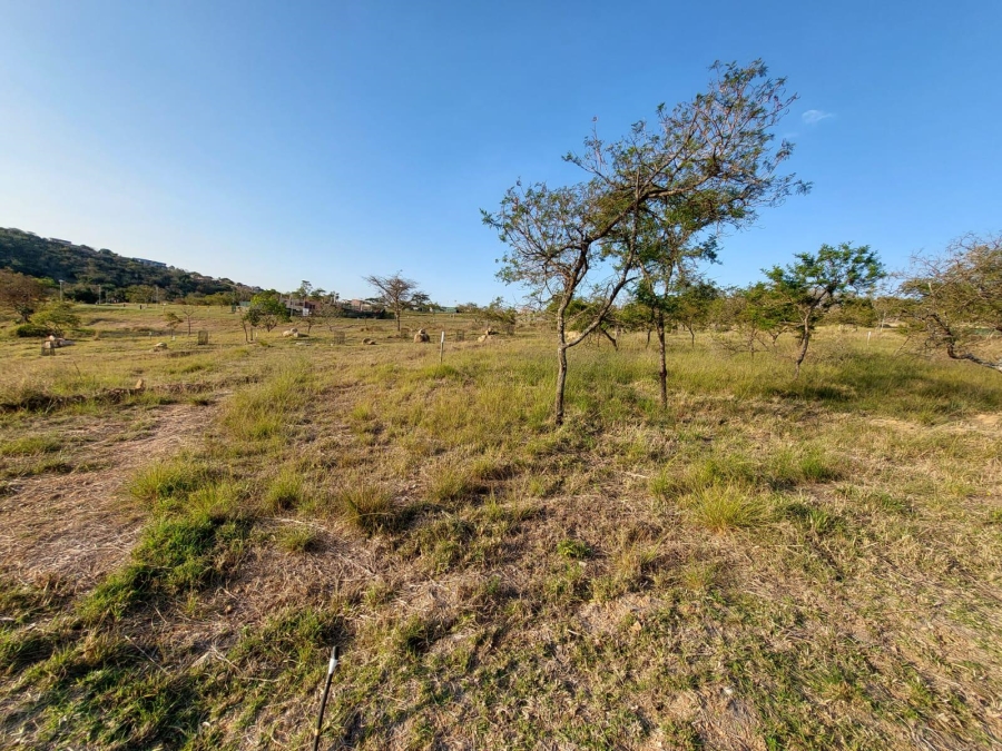 0 Bedroom Property for Sale in The Rest Nature Estate Mpumalanga