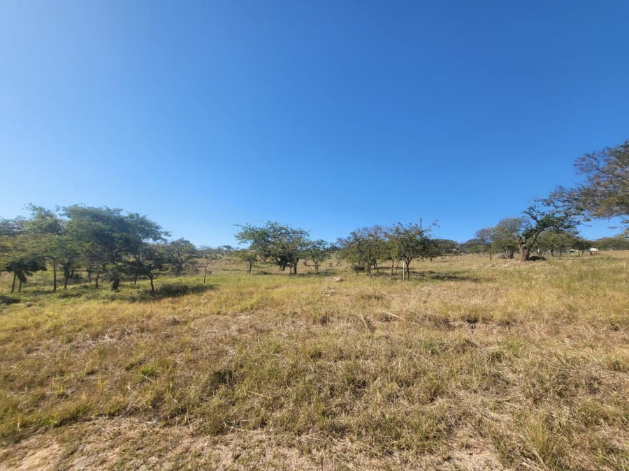 0 Bedroom Property for Sale in The Rest Nature Estate Mpumalanga