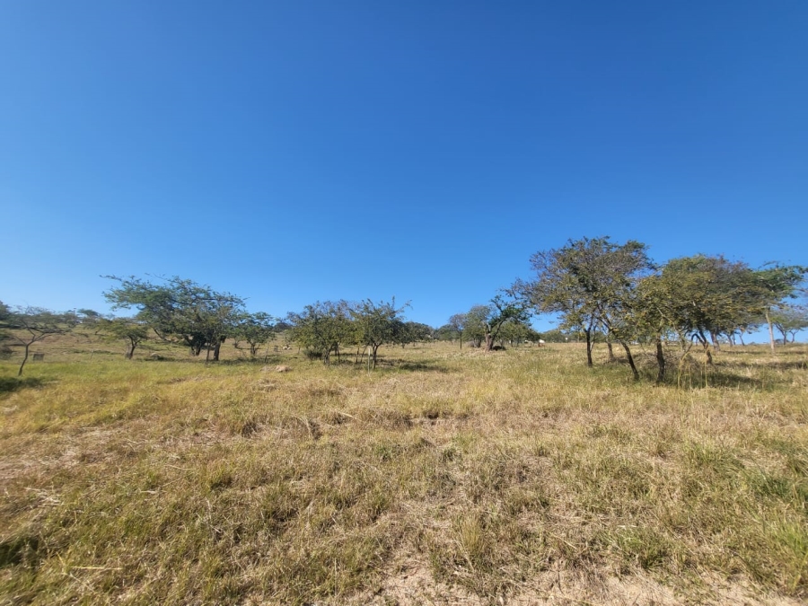 0 Bedroom Property for Sale in The Rest Nature Estate Mpumalanga