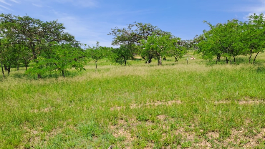 0 Bedroom Property for Sale in The Rest Nature Estate Mpumalanga