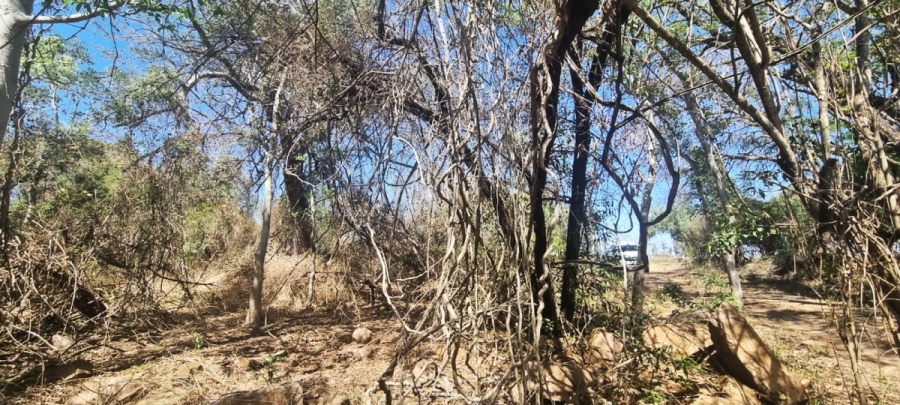 0 Bedroom Property for Sale in Marloth Park Mpumalanga