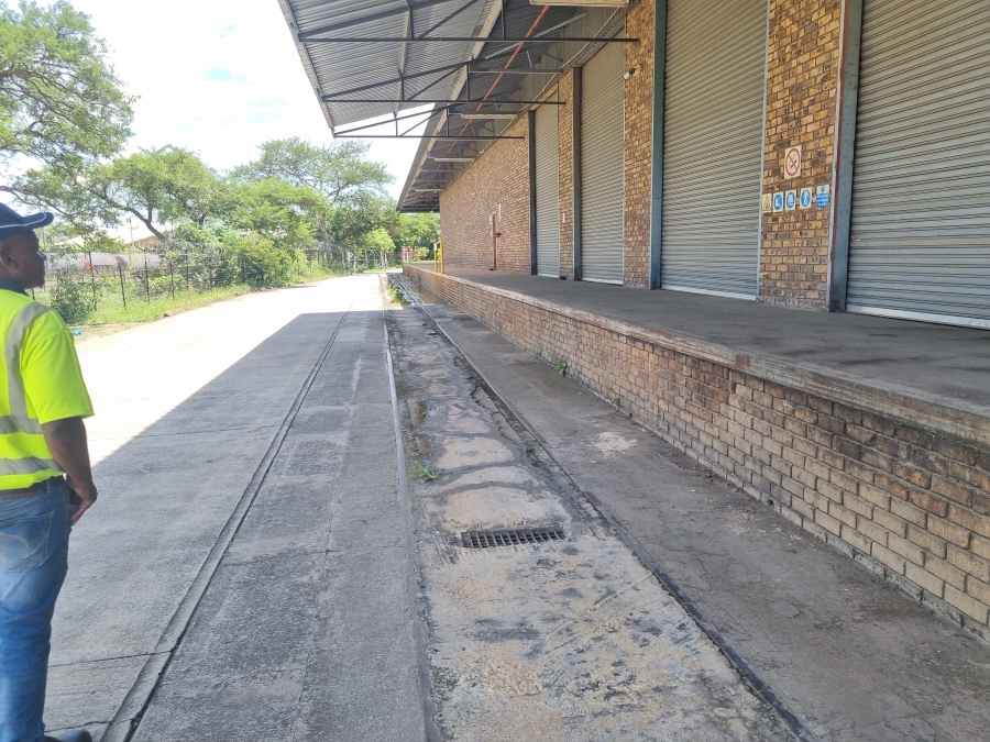 To Let commercial Property for Rent in Rocky Drift Mpumalanga