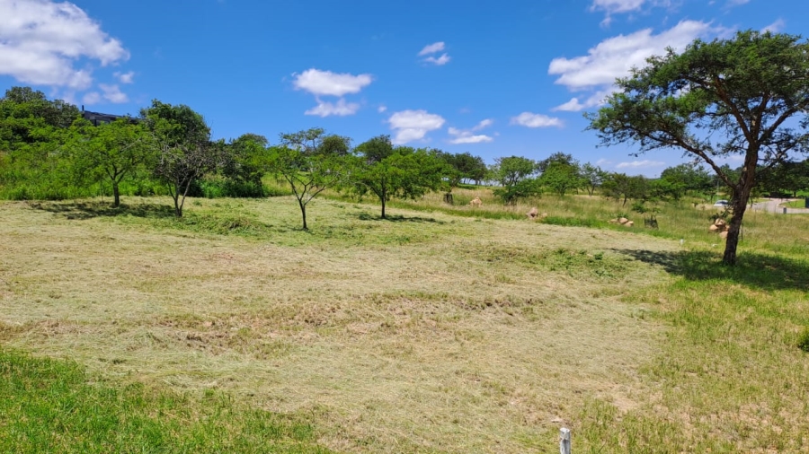 0 Bedroom Property for Sale in The Rest Nature Estate Mpumalanga