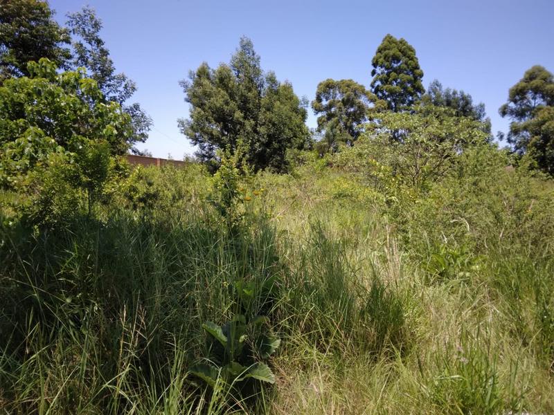 0 Bedroom Property for Sale in White River Estates Mpumalanga