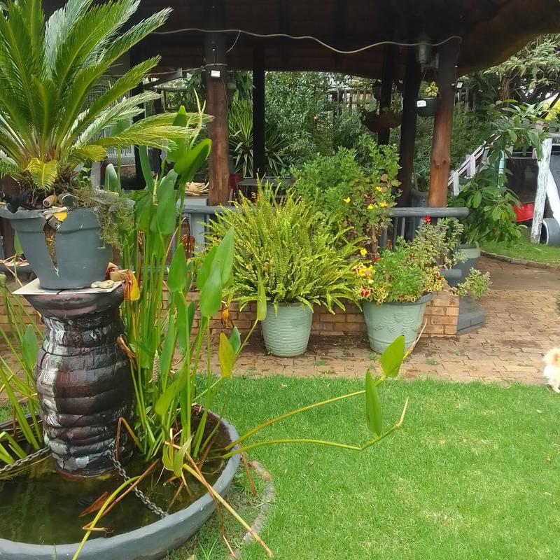 4 Bedroom Property for Sale in Komati Mpumalanga