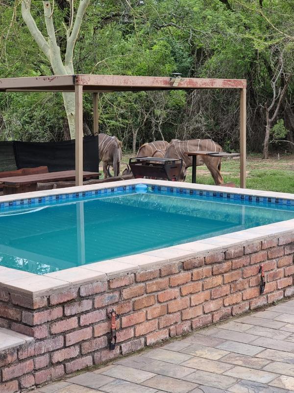 4 Bedroom Property for Sale in Marloth Park Mpumalanga