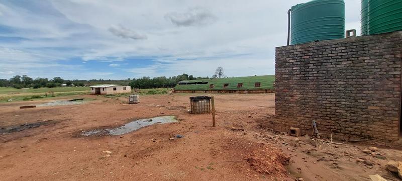 4 Bedroom Property for Sale in Delmas Mpumalanga